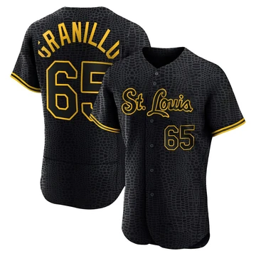 St. Louis Cardinals ＃65 Andre Granillo Men's Authentic Snake Skin City Jersey - Black