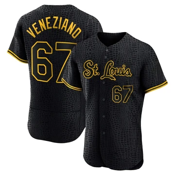 St. Louis Cardinals ＃67 Anthony Veneziano Men's Authentic Snake Skin City Jersey - Black